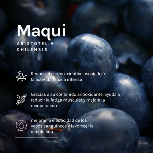 Gel Energético Blitz Maqui sin Cafeína